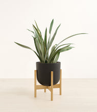 Load image into Gallery viewer, Stone Black stand:bamboo