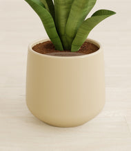 Load image into Gallery viewer, Almond Green stand:all