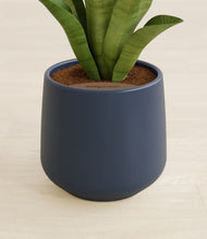 Load image into Gallery viewer, Deep Navy stand:all