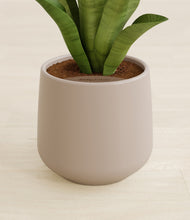 Load image into Gallery viewer, Eternal Gray stand:all