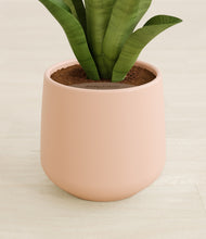 Load image into Gallery viewer, Gentle Pink stand:all