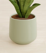 Load image into Gallery viewer, Turquoise stand:all