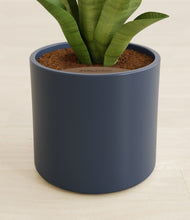 Load image into Gallery viewer, Deep Navy stand:all