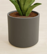 Load image into Gallery viewer, Dark Olive stand:all