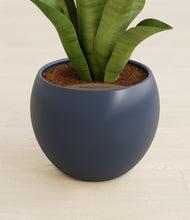 Load image into Gallery viewer, Deep Navy stand:all