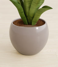 Load image into Gallery viewer, Winter Clouds stand:all