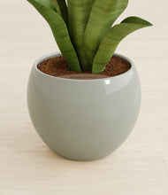 Load image into Gallery viewer, Deep Ocean stand:all