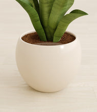 Load image into Gallery viewer, Shiny EggWhite stand:all