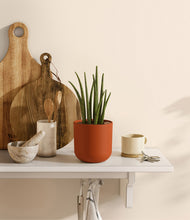 Load image into Gallery viewer, Earth Red