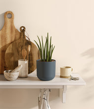 Load image into Gallery viewer, Iron Gray