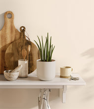 Load image into Gallery viewer, Natural Bamboo