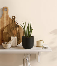 Load image into Gallery viewer, Stone Black