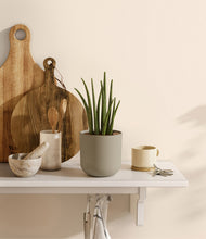 Load image into Gallery viewer, Sage Green