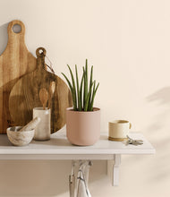 Load image into Gallery viewer, Sandy Pink