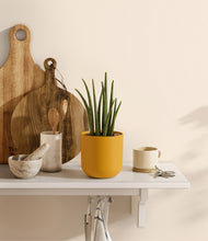 Load image into Gallery viewer, Sunset Orange