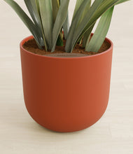 Load image into Gallery viewer, Earth Red stand:all