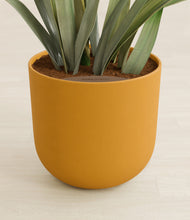 Load image into Gallery viewer, Sunset Orange stand:all