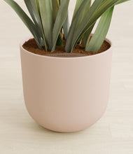 Load image into Gallery viewer, Sandy Pink stand:all