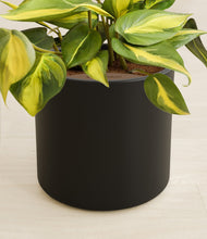 Load image into Gallery viewer, Black stand:all