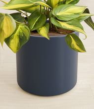 Load image into Gallery viewer, Deep Navy stand:all