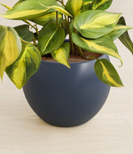 Load image into Gallery viewer, Deep Navy stand:all