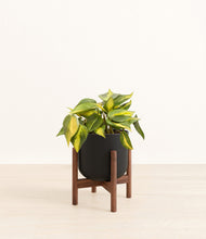 Load image into Gallery viewer, Stone Black stand:walnut