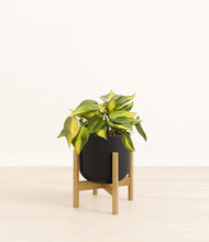 Load image into Gallery viewer, Stone Black stand:bamboo
