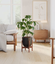 Load image into Gallery viewer, Stone Black stand:walnut