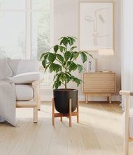 Load image into Gallery viewer, Stone Black stand:bamboo