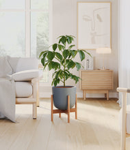 Load image into Gallery viewer, Iron Gray stand:bamboo