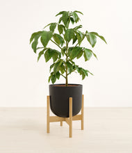 Load image into Gallery viewer, Stone Black stand:bamboo