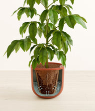 Load image into Gallery viewer, Stone Black stand:all