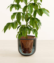 Load image into Gallery viewer, Natural Bamboo stand:all