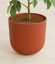 Load image into Gallery viewer, Earth Red stand:all