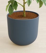 Load image into Gallery viewer, Iron Gray stand:all