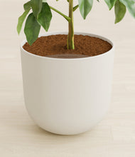 Load image into Gallery viewer, Natural Bamboo stand:all