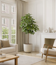 Load image into Gallery viewer, Natural Bamboo*****Profile