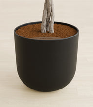 Load image into Gallery viewer, Stone Black stand:all