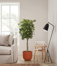 Load image into Gallery viewer, Earth Red