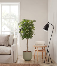 Load image into Gallery viewer, Sage Green