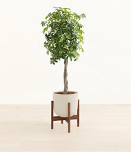Load image into Gallery viewer, Natural Bamboo stand:walnut