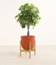 Load image into Gallery viewer, Earth Red stand:bamboo