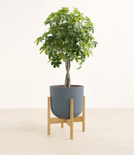 Load image into Gallery viewer, Iron Gray stand:bamboo