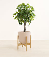 Load image into Gallery viewer, Sandy Pink stand:bamboo