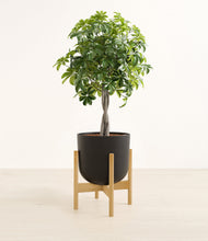 Load image into Gallery viewer, Stone Black stand:bamboo