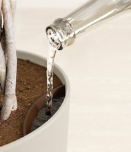 Load image into Gallery viewer, Natural Bamboo stand:all