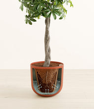 Load image into Gallery viewer, Earth Red stand:all