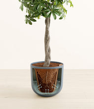 Load image into Gallery viewer, Iron Gray stand:all