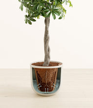 Load image into Gallery viewer, Natural Bamboo stand:all