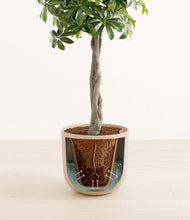 Load image into Gallery viewer, Sandy Pink stand:all